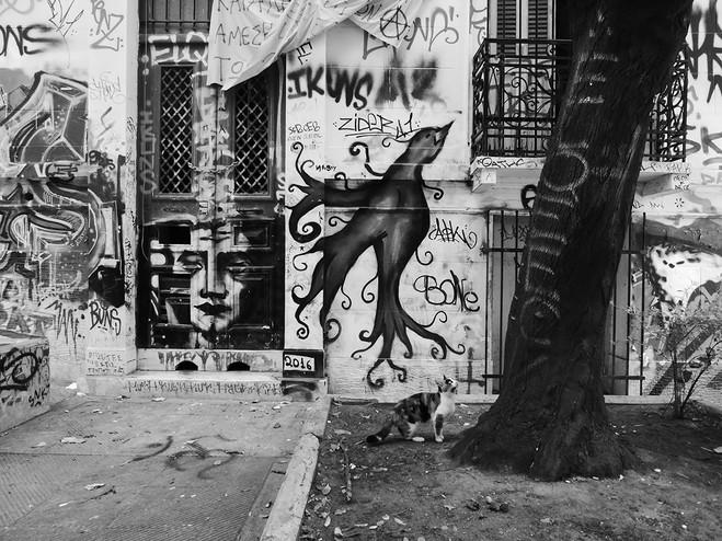 Photo: Silvia Maglioni & Graeme Thomson